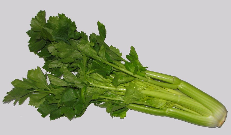 Le Céleri un légume riche en oligoéléments