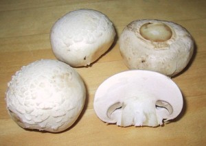 Champignon