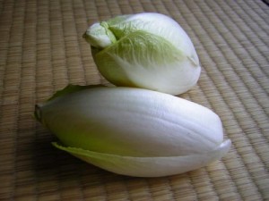 Endive