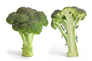 Le Brocoli : un légume santé