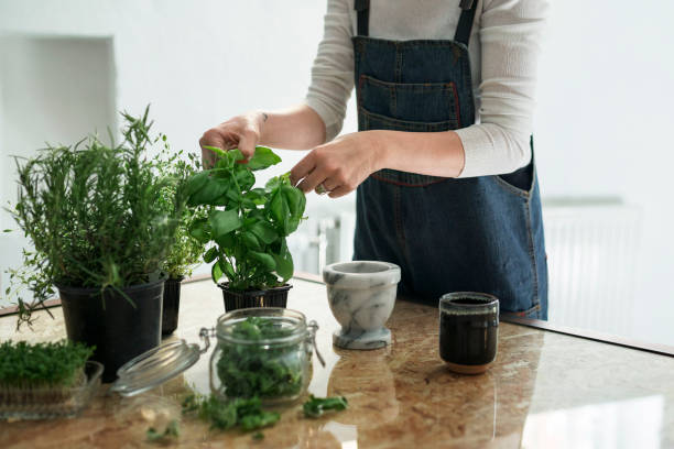 Femme en train de planter des aromates en pots